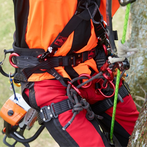 Simarghu Climbing Harnesses 300px